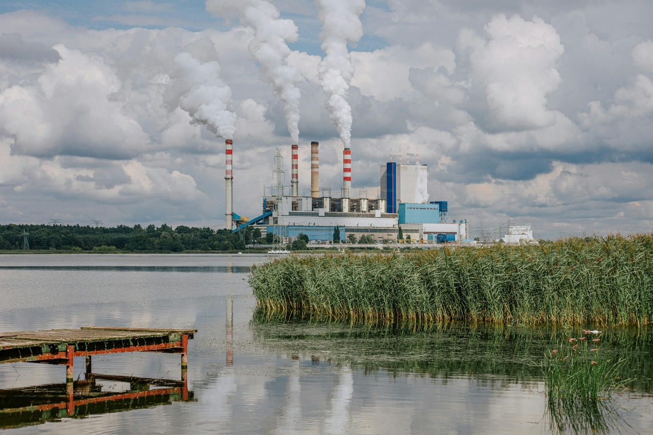 Schoonmaakdiensten voor Bedrijven